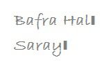 Bafra Halı Sarayı